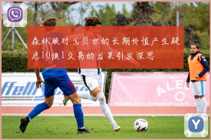 森林狼对戈贝尔的长期价值产生疑虑10换1交易的后果引发深思